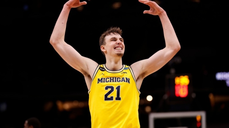 仅展示了中 仅展示了中