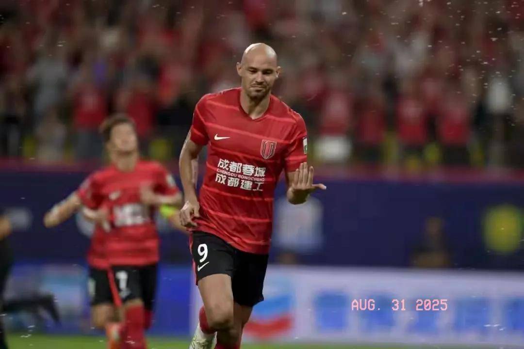 他们不仅在 他们不仅在